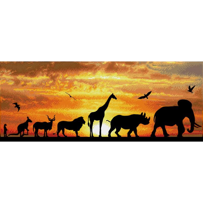 Kit d.dotz african sky