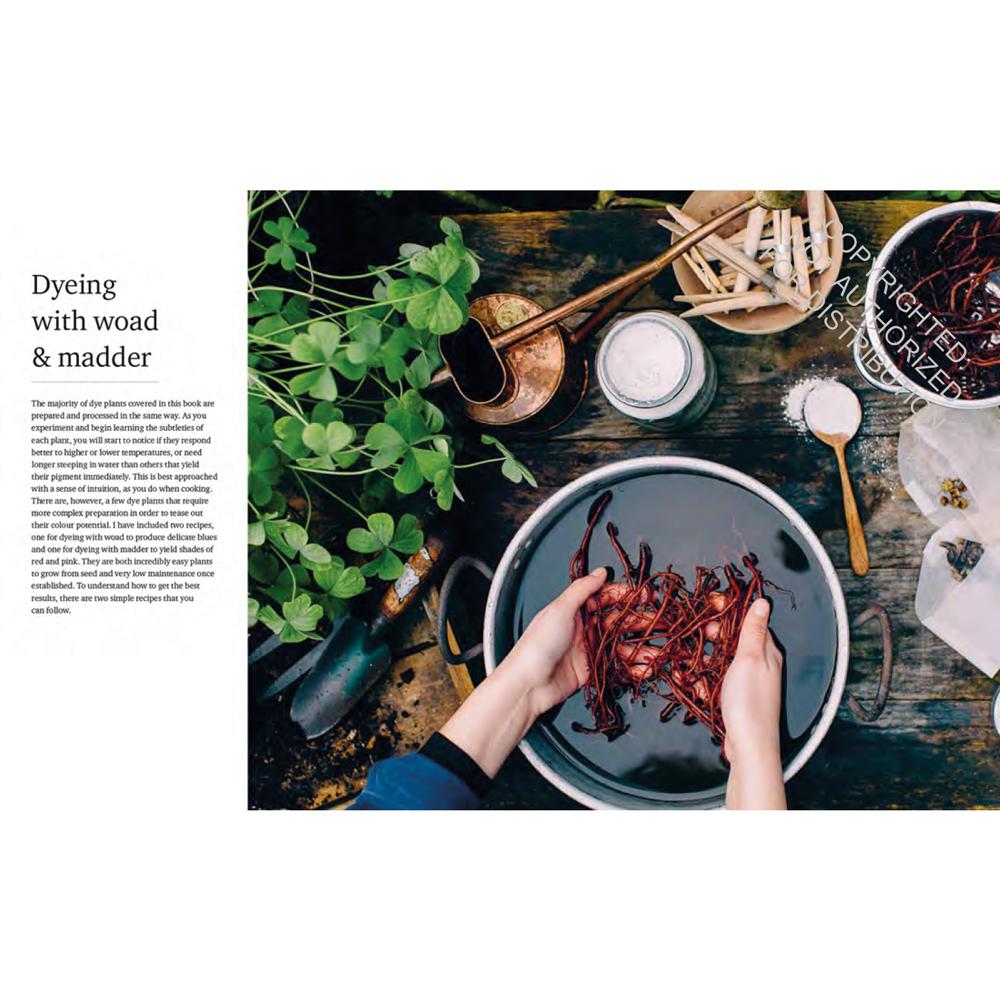 Wild dyer: a maker's guide to natural dyes with projects to create and stitch